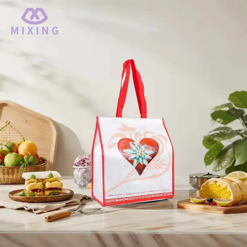 Sac de refroidisseur tissé laminé PP